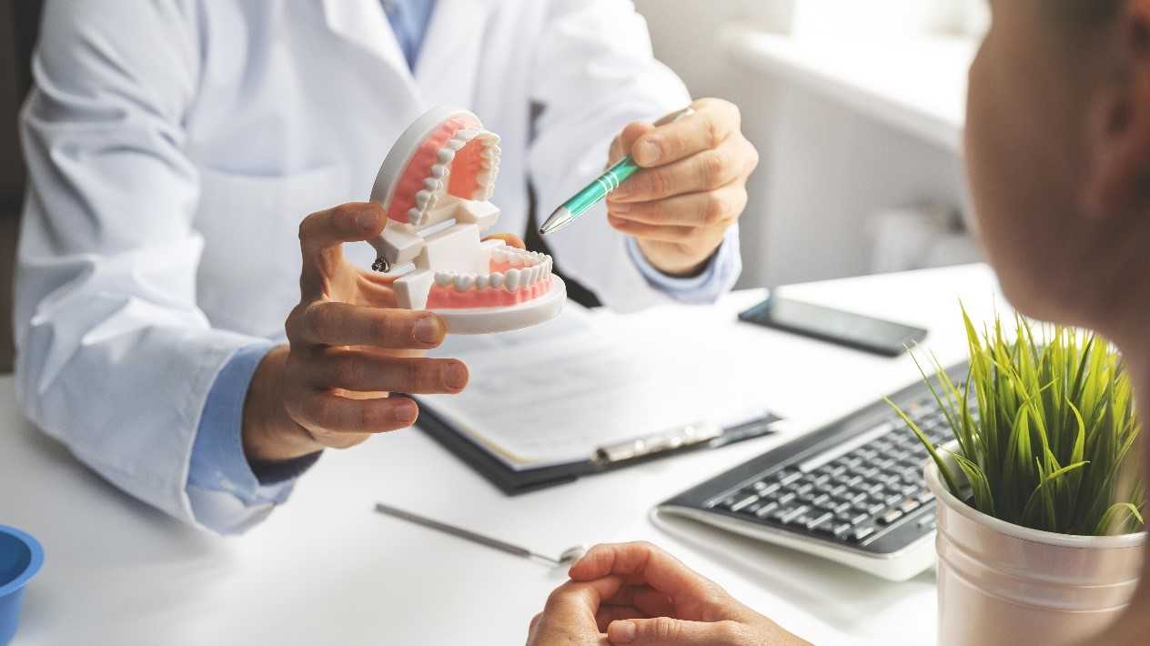 Cost Of Orthodontics Man showing model of teeth to patient